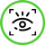 Access Control Iris Recognition Authentication